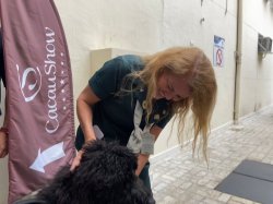 Cães da Guarda Municipal de Santos visitam a Santa Casa